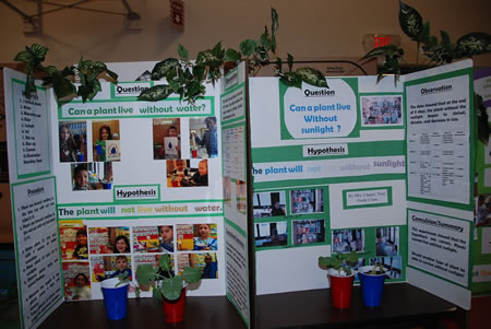 science project presentation