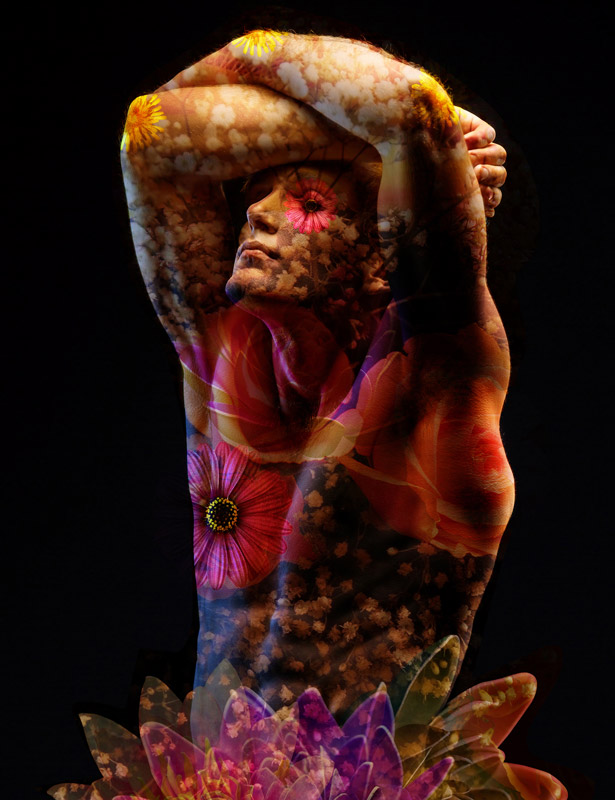Bradley Landberg's art