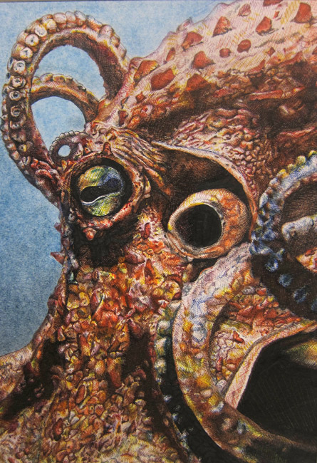 Claire Hannon's artwork