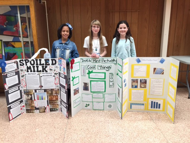 Woodhull Science Fair