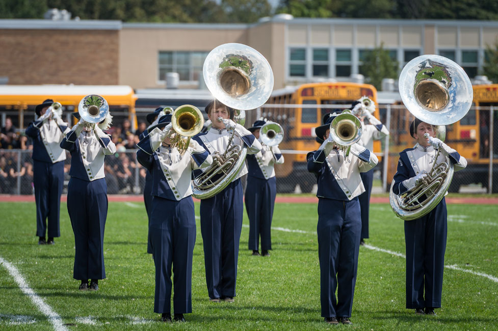 24th Brentwood Show image
