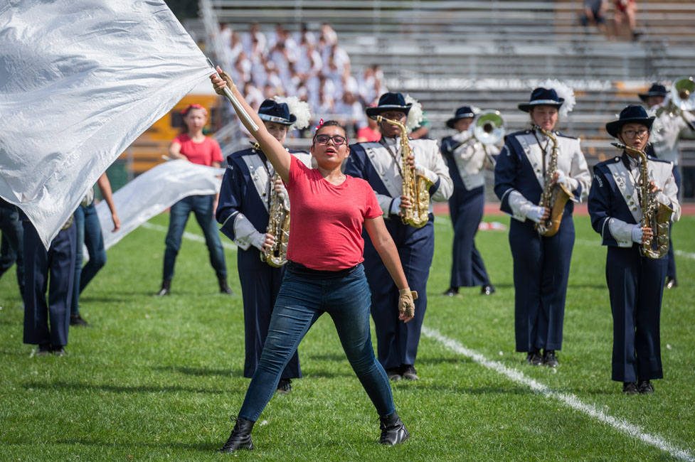 35th Brentwood Show image