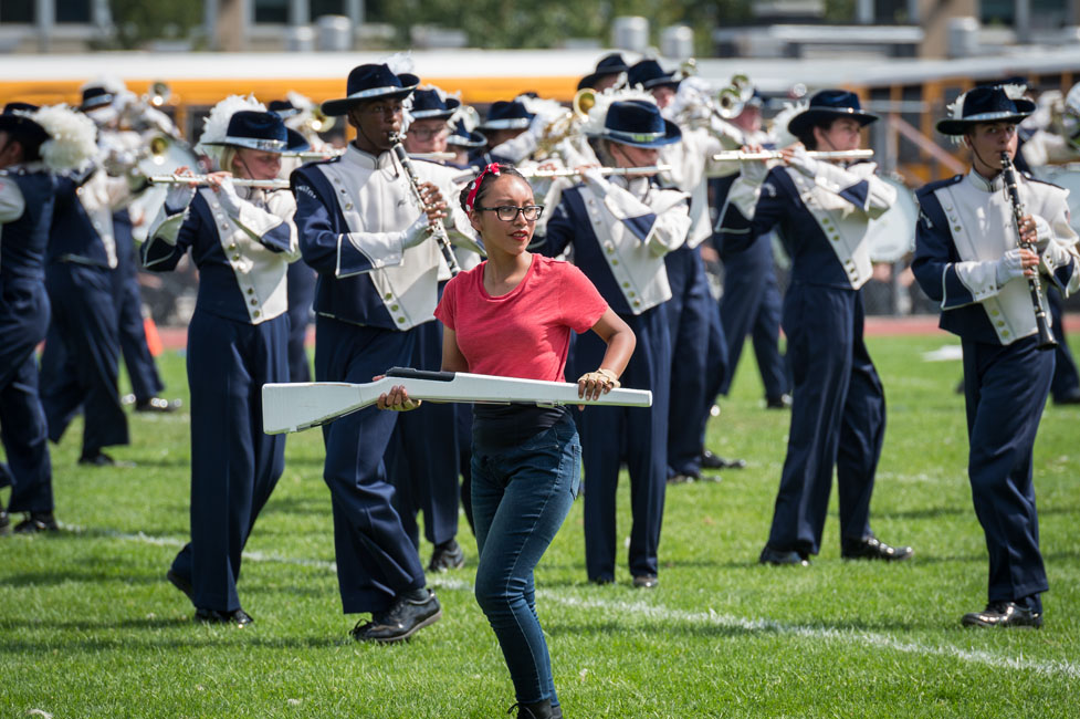 44th Brentwood Show image