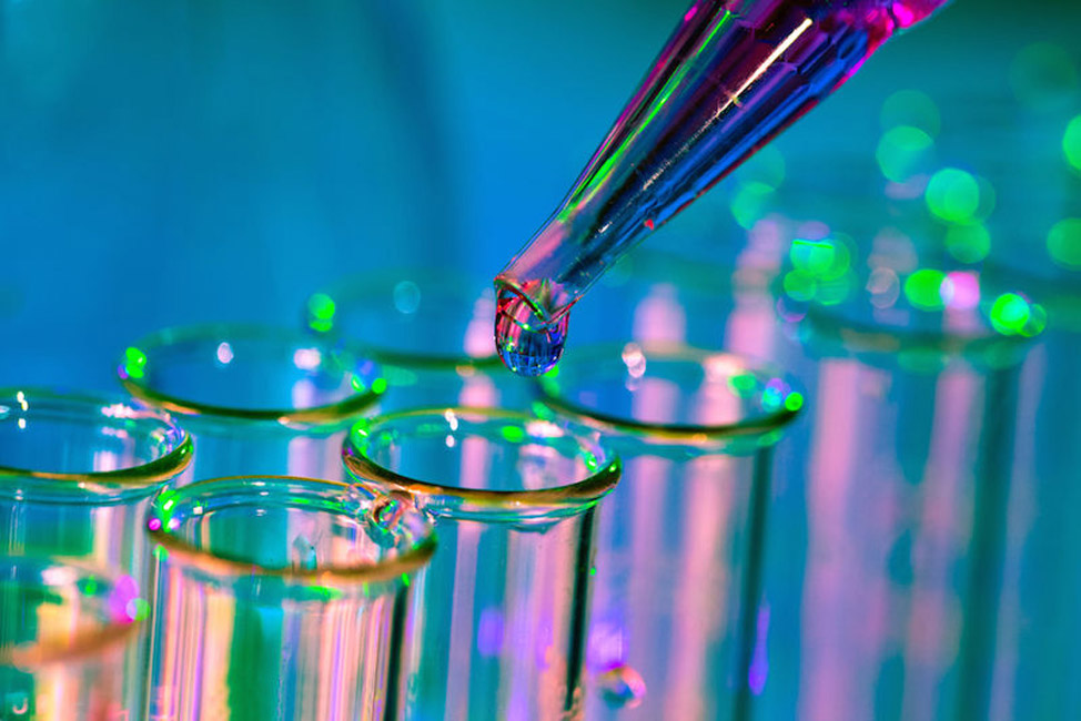 Huntington is looking for mentors for its science research program participants 