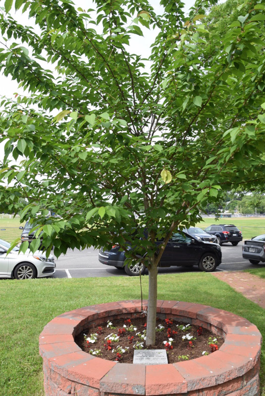The Alan Kuver Memorial outside of Huntington High School 