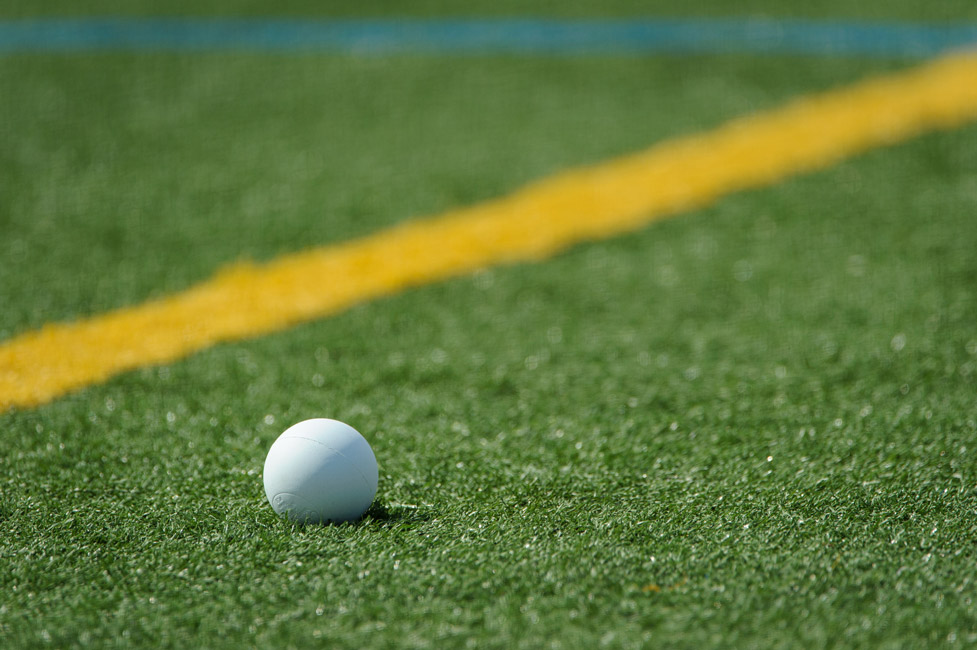 Huntington's JV girls' lacrosse team compiled a 12-2 record. (Darin Reed photo.)