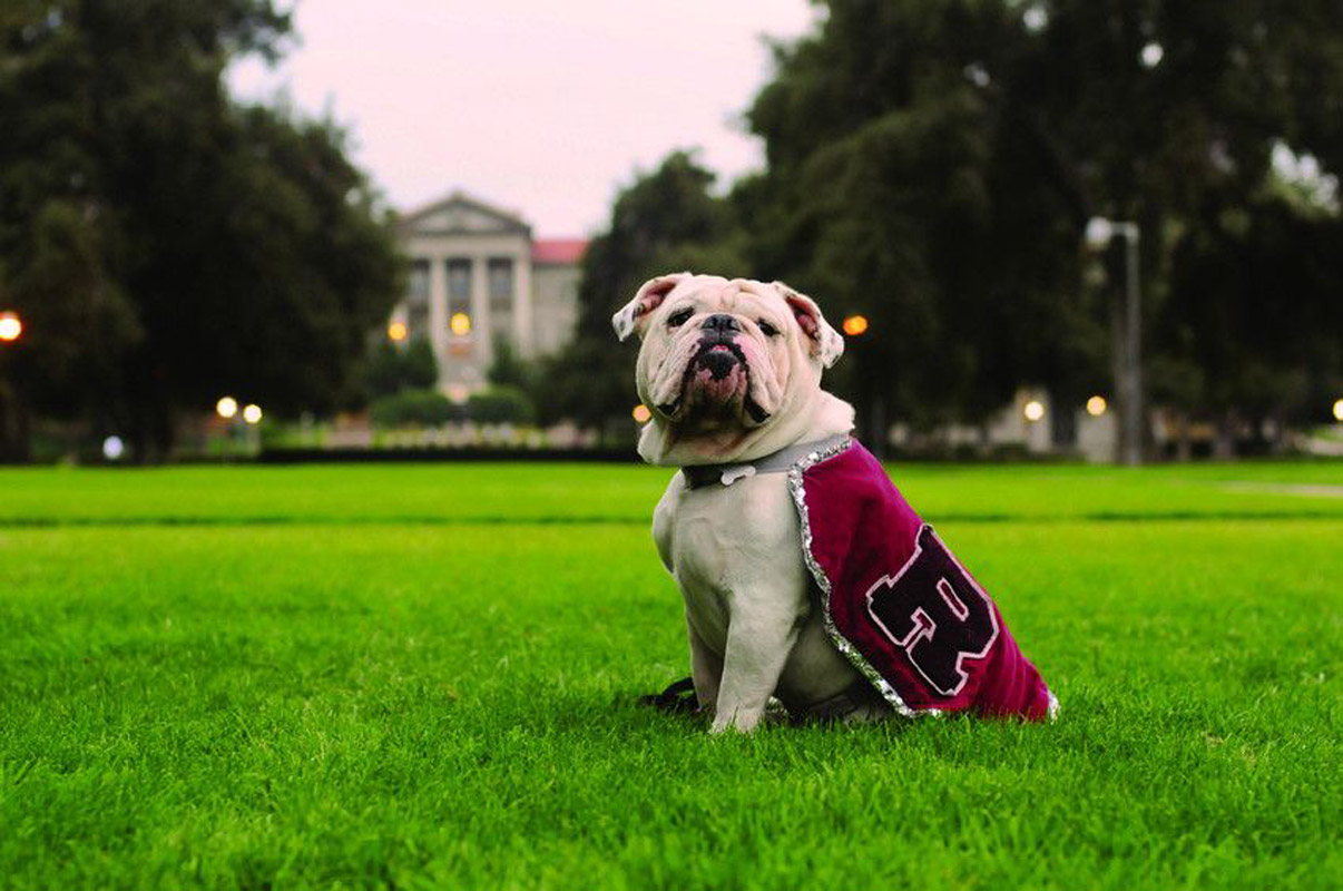The Redlands mascot is a bulldog 