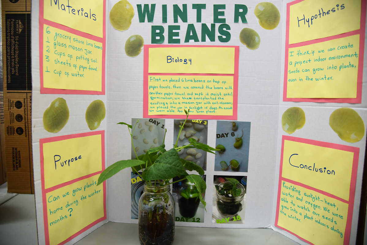 The Washington Primary School Science Fair produced many interesting projects. 