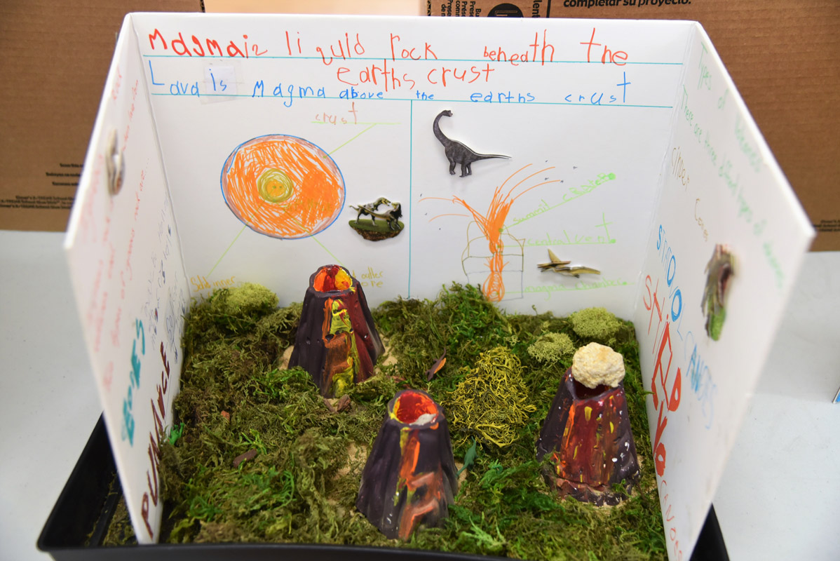 The Washington Primary School Science Fair produced many interesting projects.