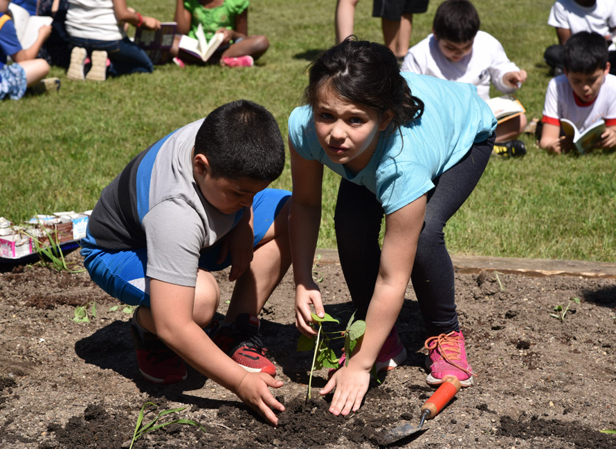 Flower Hill students worked with each other on the garden project 