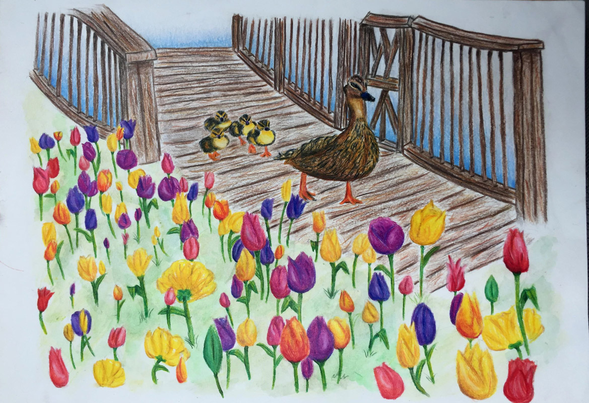 Finley seventh grader Emily Gershuny’s Best in Grade Award artwork.