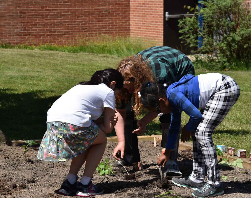 Flower Hill and Island Harvest collaborated on the garden initiative