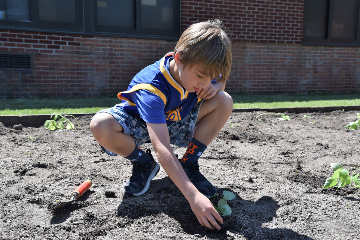 The Flower Hill School youngsters went about planting in a very careful manner