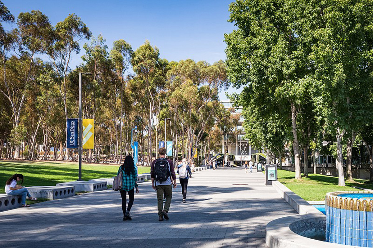 The University of California San Diego boasts a beautiful campus 