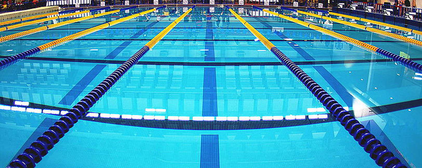 The Huntington boys' swimming and diving team returns four All-League performers this winter.