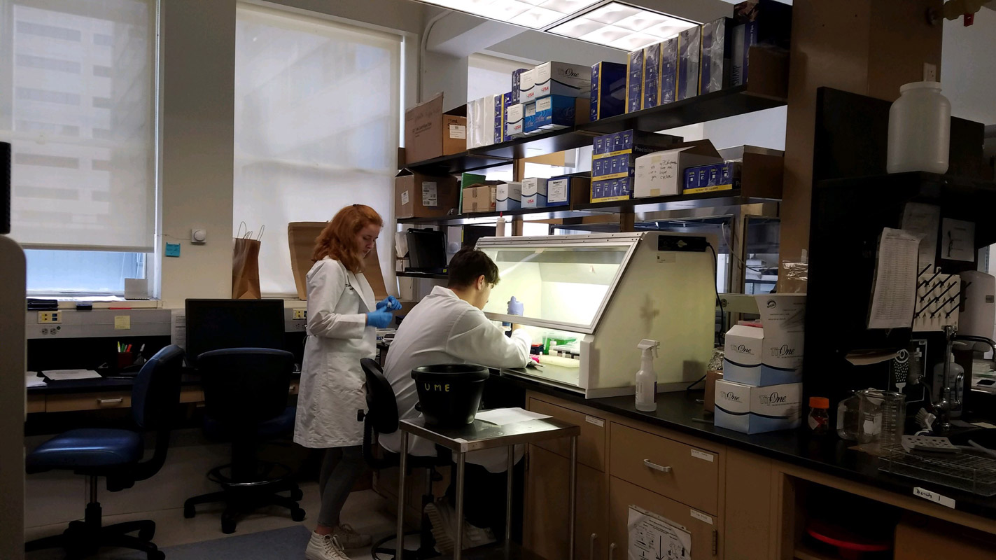 Sam Roberts and Sara Frawley during their internship at Mount Sinai last summer 