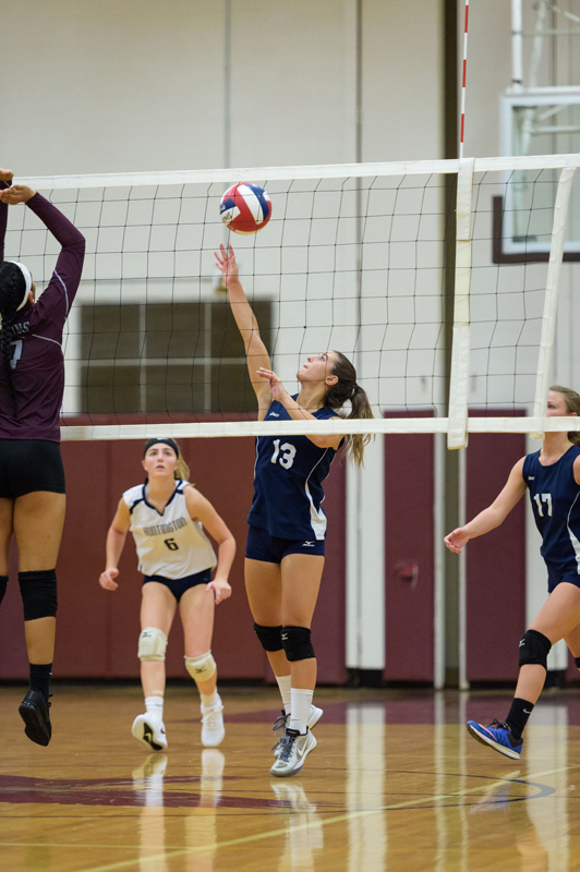Seventh volleyball image
