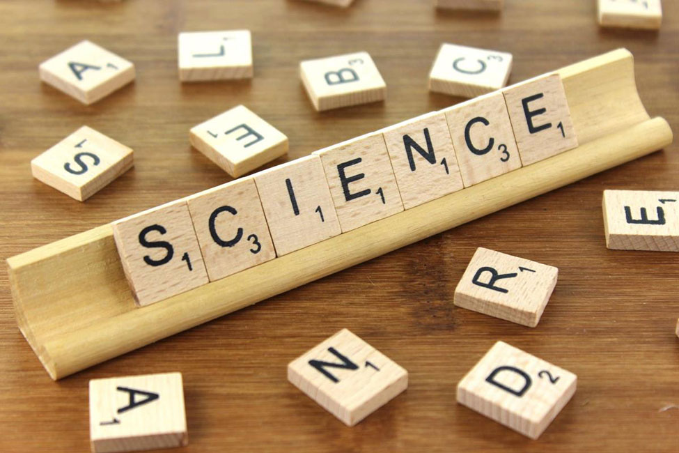 Washington School second graders sure do love studying science.