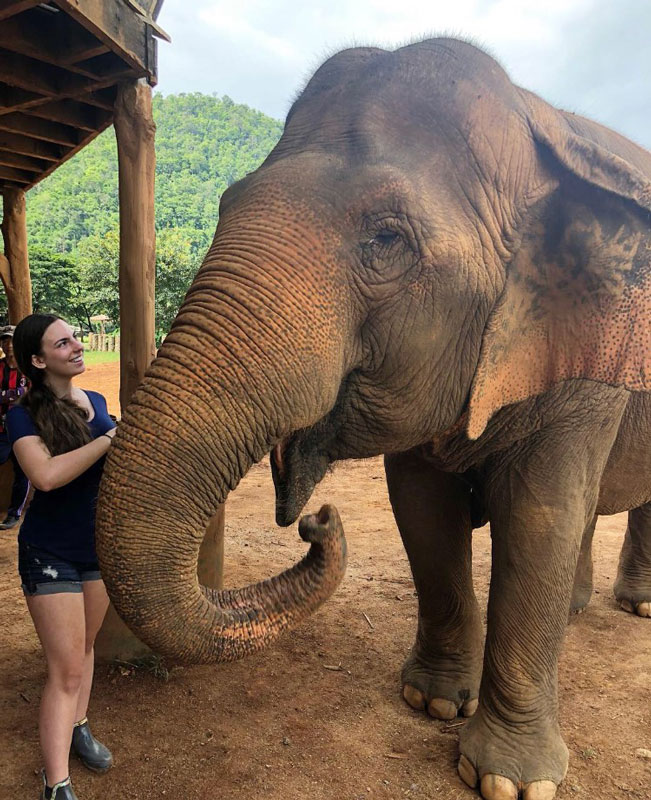 Huntington senior Kaitlyn Sage worked with elephants in Thailand last summer.
