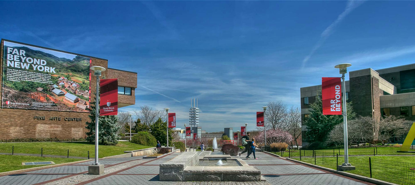 Huntington senior Diya Rai-Gersappe engaged in a seven week research program at Stony Brook University.