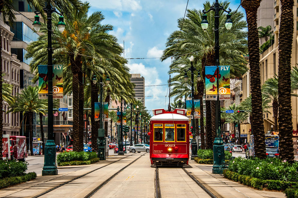 Huntington's Habitat for Humanity club chapter is planning a trip to New Orleans during the February vacation.