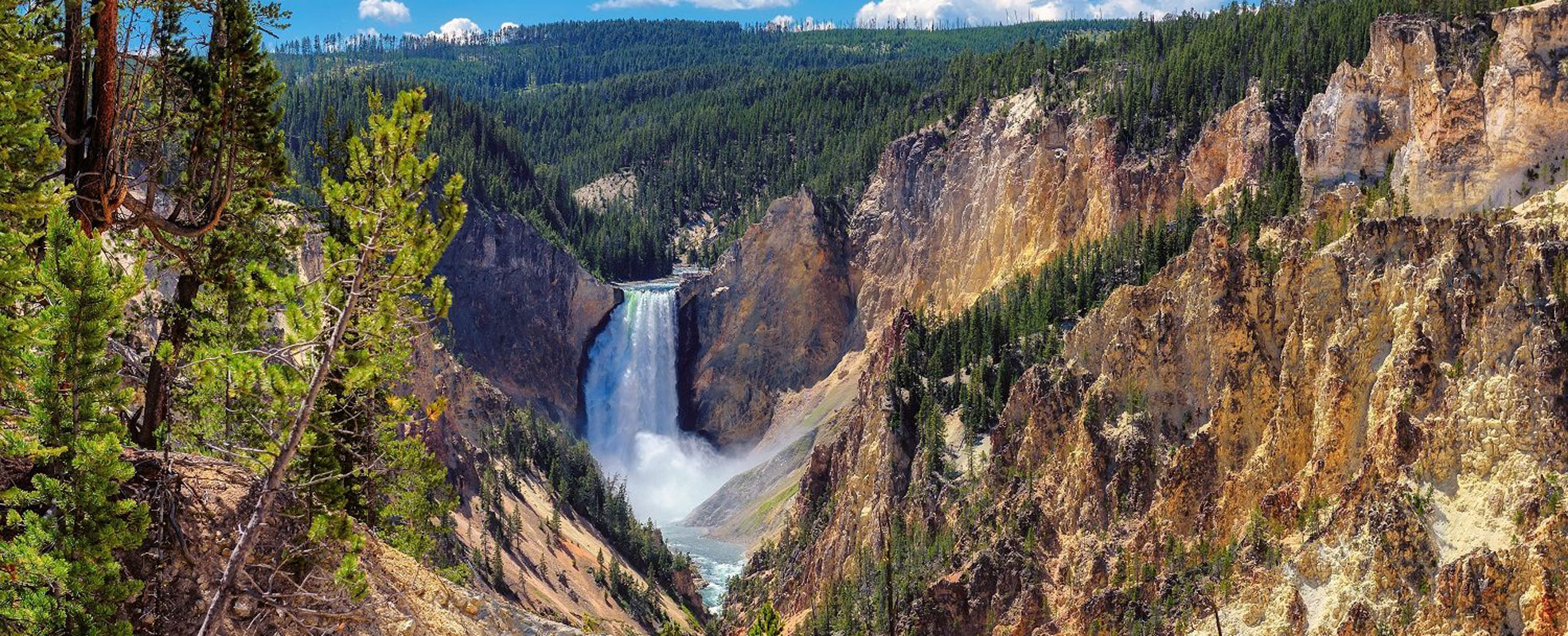 Huntington senior Graham Young spent a week working and learning in Yellowstone National Park. 