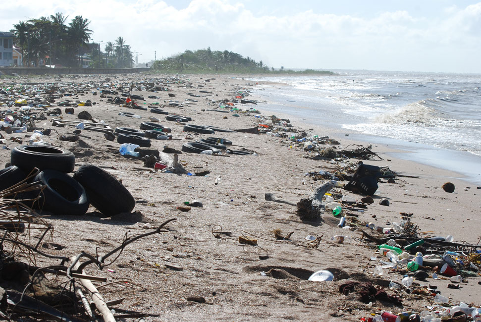 Huntington's Environmental Club is commitment to making the community and world a better place