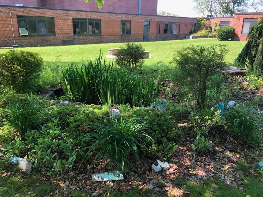 Huntington junior Christopher Mavrogian plans to rehabilitate the high school courtyard pond area 