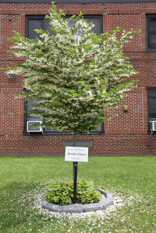 A memorial to Class of 2007 member Justin L. Giani stands outside Huntington High School 