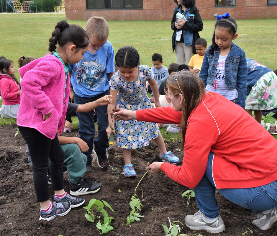 Washington School students planted in their new vegetable garden.