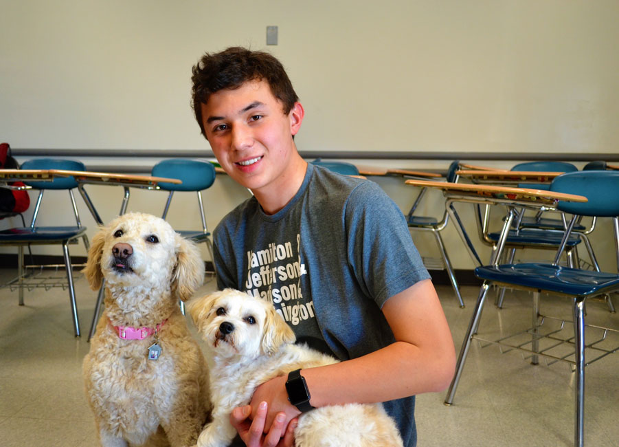Huntington sophomore Aaron Chin with a pair of specially trained therapy dogs at Nassau Community College.