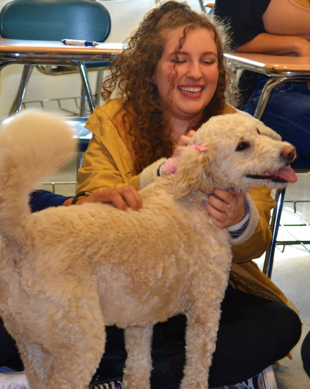Nassau Community College students embraced a pair of therapy dogs during a study conducted by Huntington's Aaron Chin.
