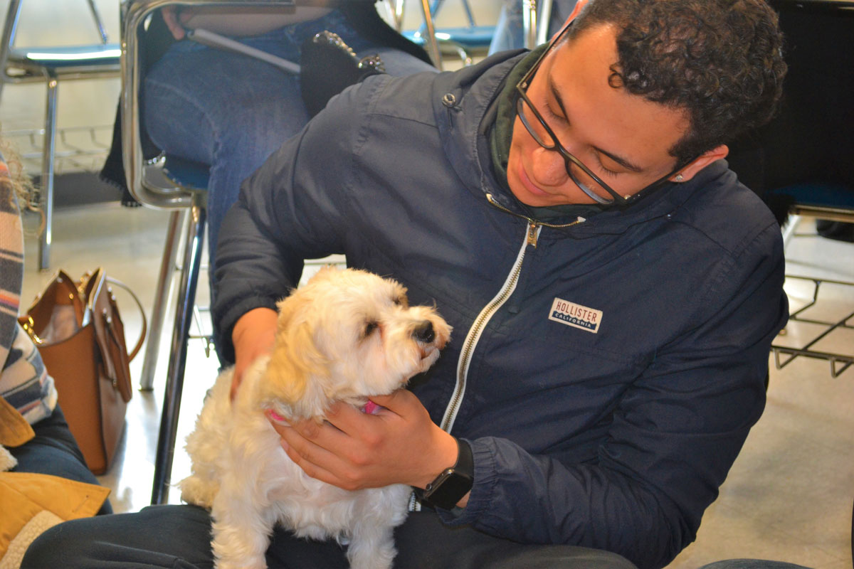 Nassau Community College students embraced a pair of therapy dogs during a study conducted by Huntington's Aaron Chin.