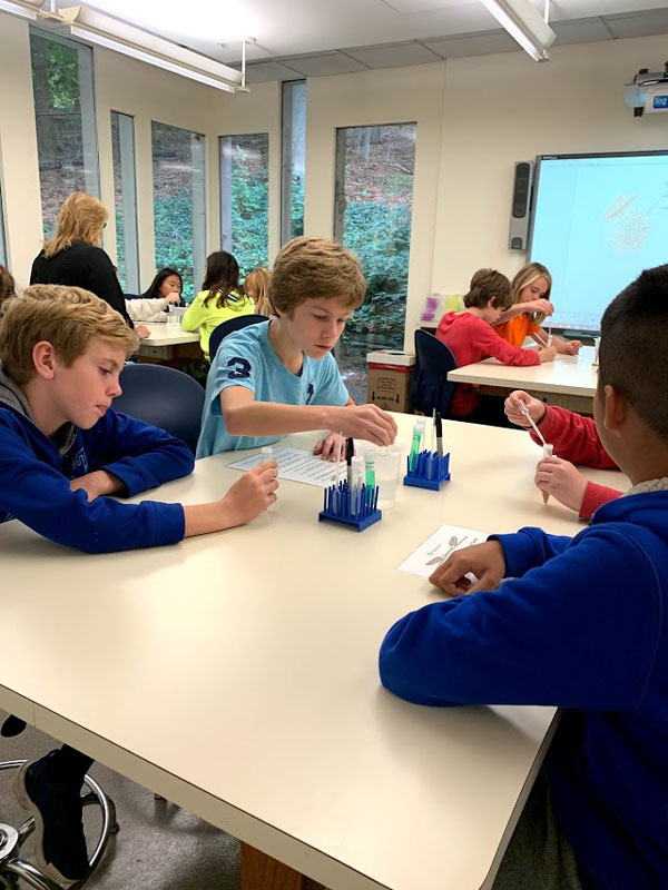 Huntington SEARCH program fifth graders at the DNA Learning Center in Cold Spring Harbor 