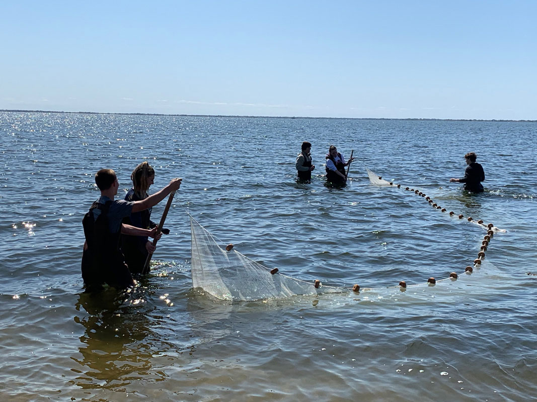 The AP Environmental Science students participated in hands-on studies 