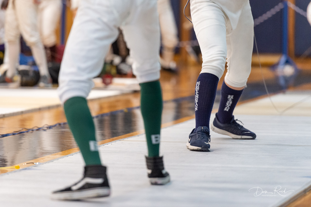 Sixth fencing image