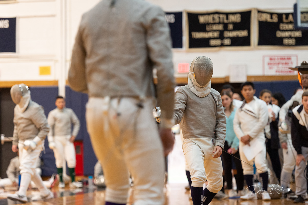 19th fencing image