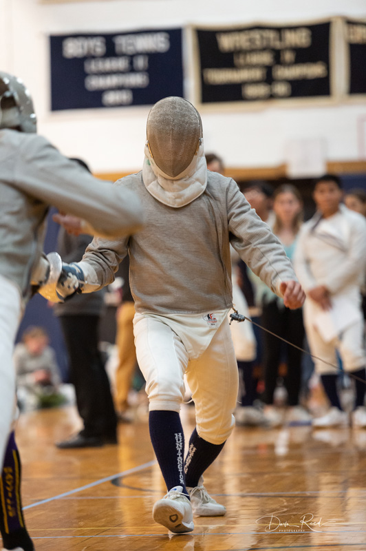 21st fencing image