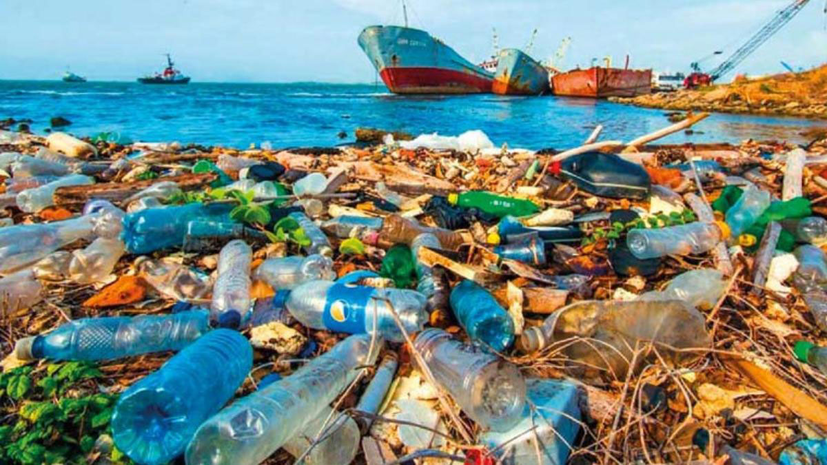 Two Huntington High School research partners studied the effects of bacteria on degrading plastics