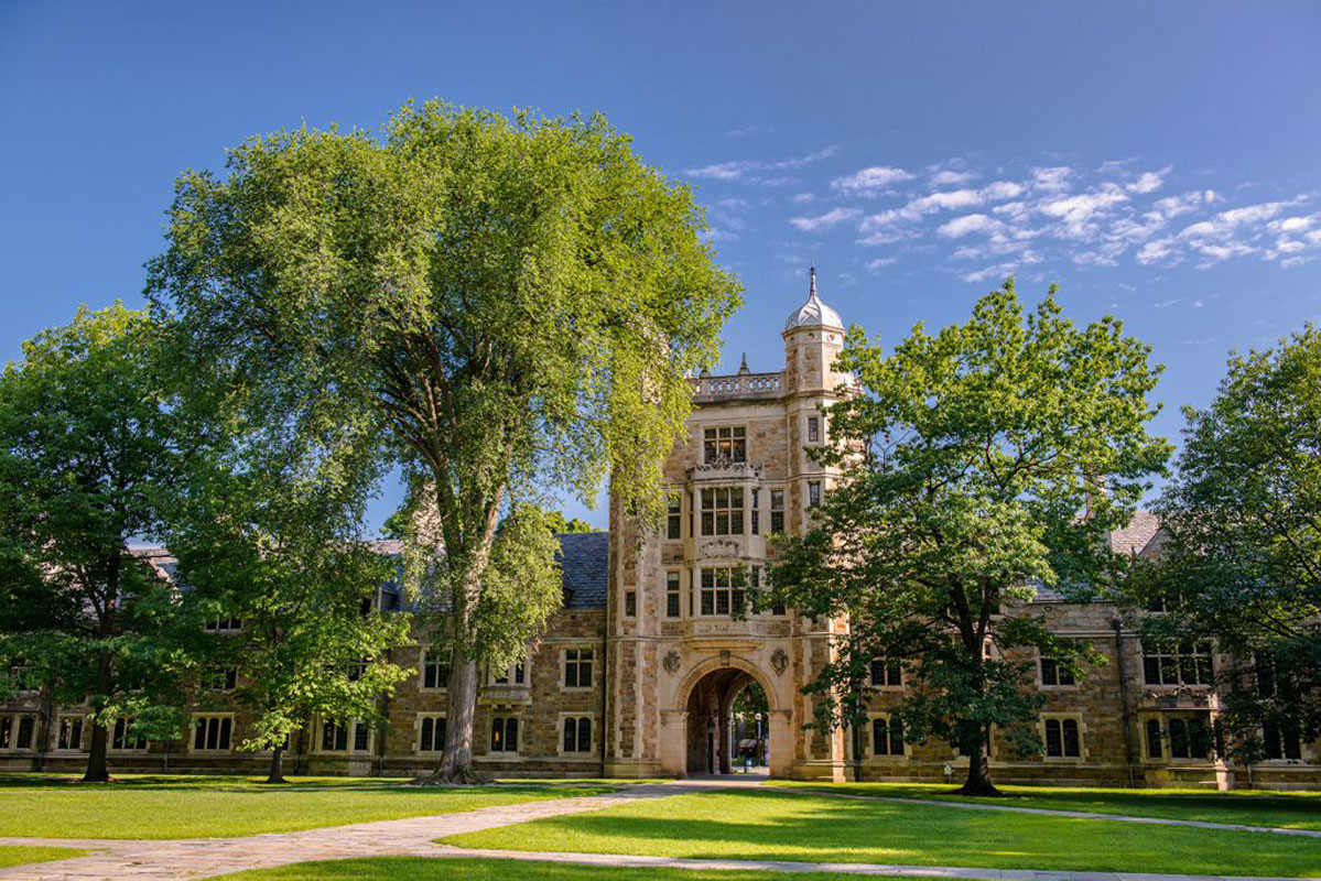 The University of Michigan boasts more than 295 degree programs 
