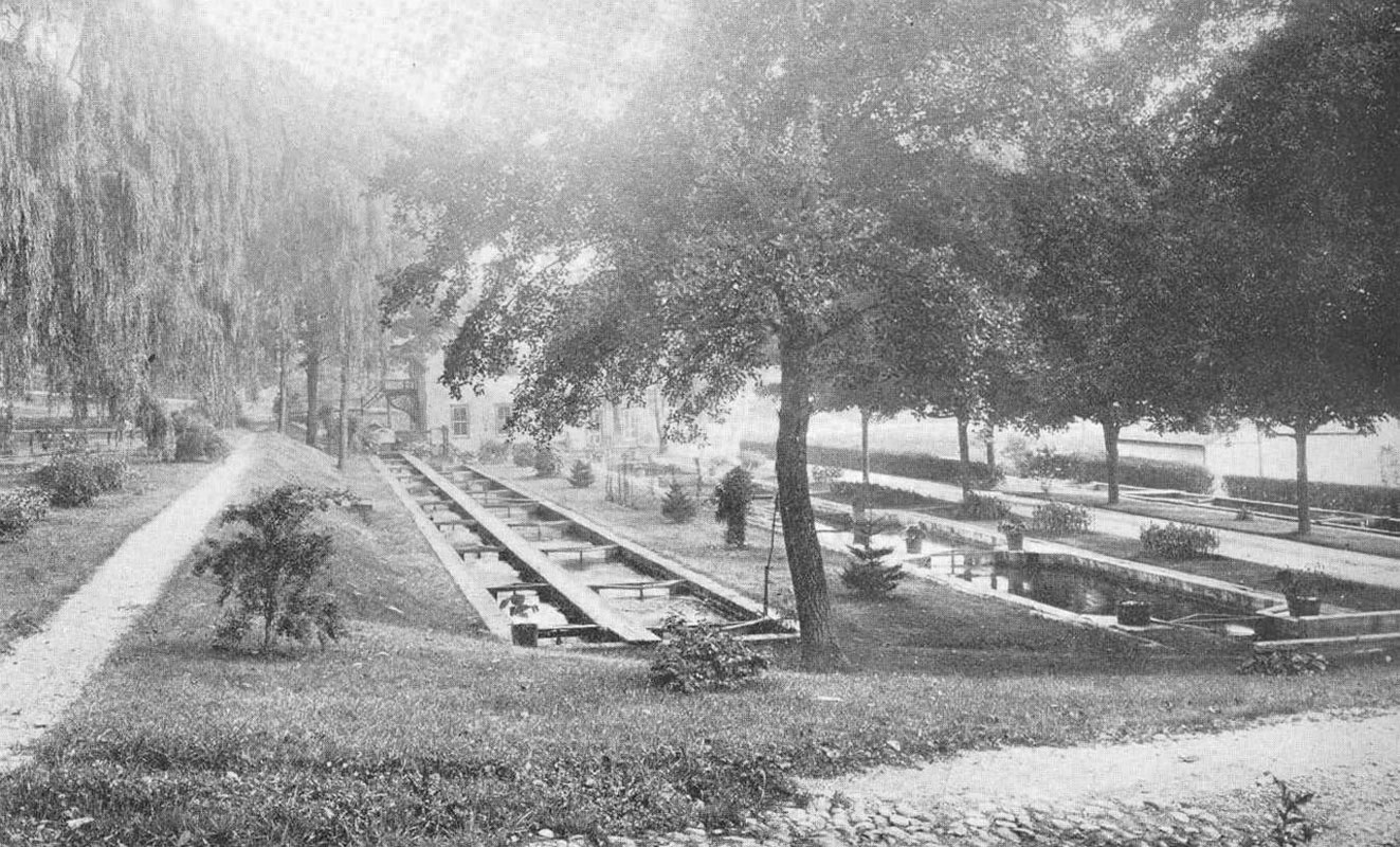 The Cold Spring Harbor fish hatchery in 1914.
