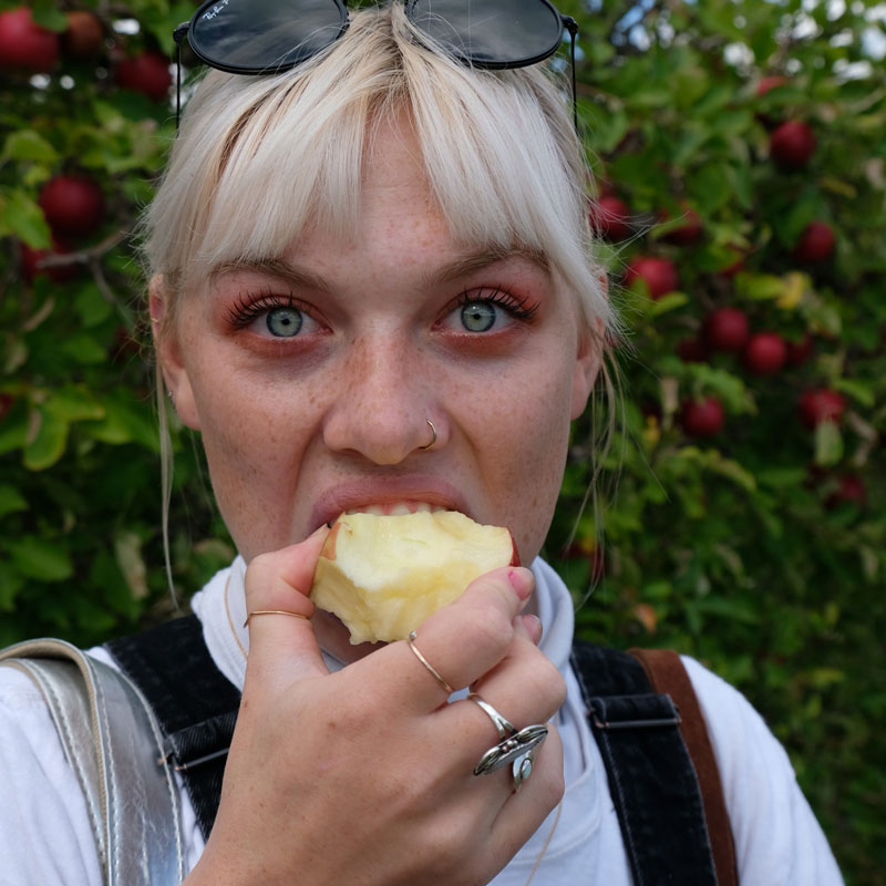 Axel Cattano snapped this photo in an apple orchard in Granby, Connecticut.