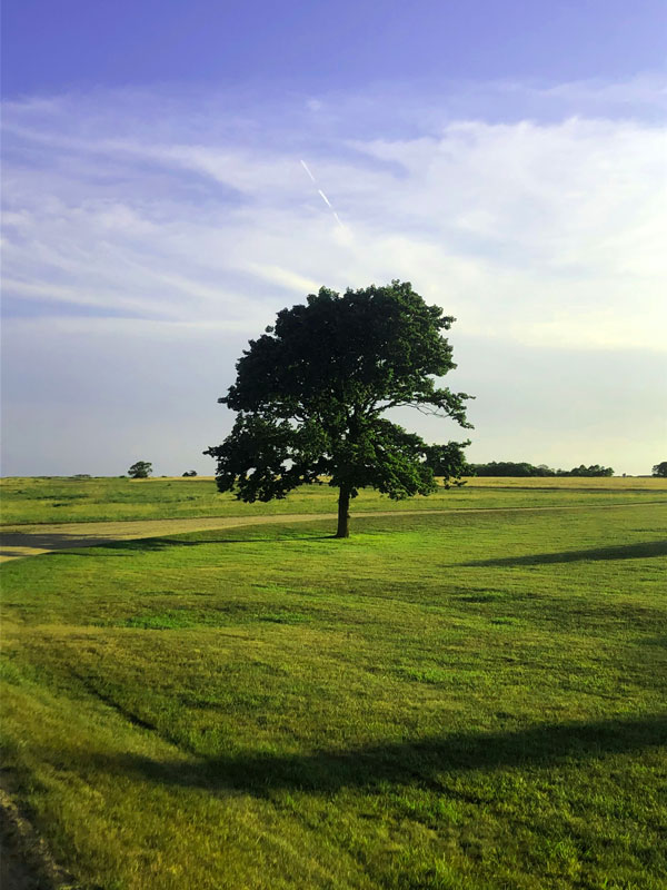 Axel Cattano took this photo at Martha's Vineyard while riding around on a bicycle.