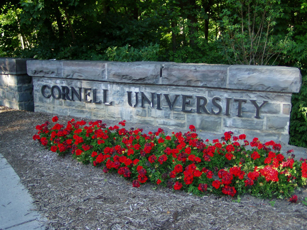 Huntington Class of 2020 member Bryce Vitulli will attend Cornell University 