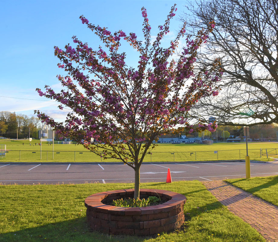  A memorial to Alan Kuver at Huntington High School. 