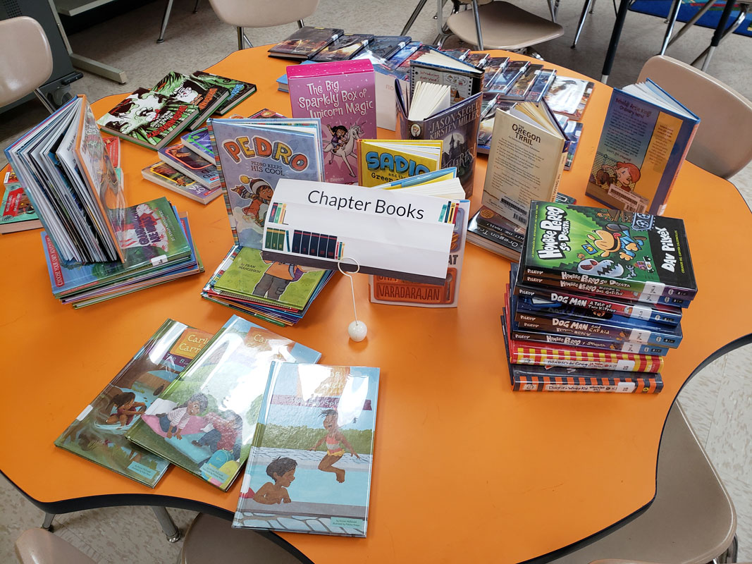 Dozens of new books have been added to Washington School's library collection.