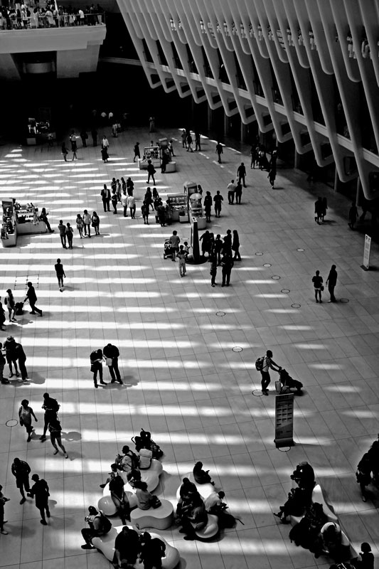 A photograph of World Trade Center Station by Lexi Helburn.