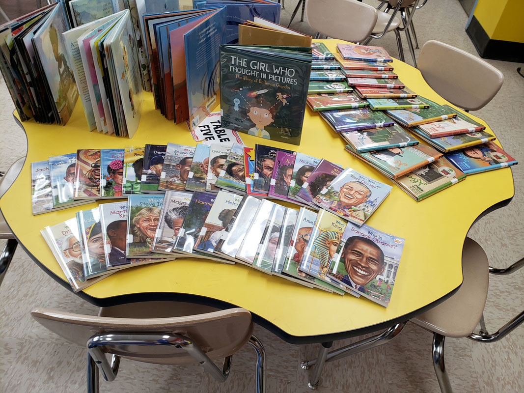 Dozens of new books have been added to Washington School's library collection 