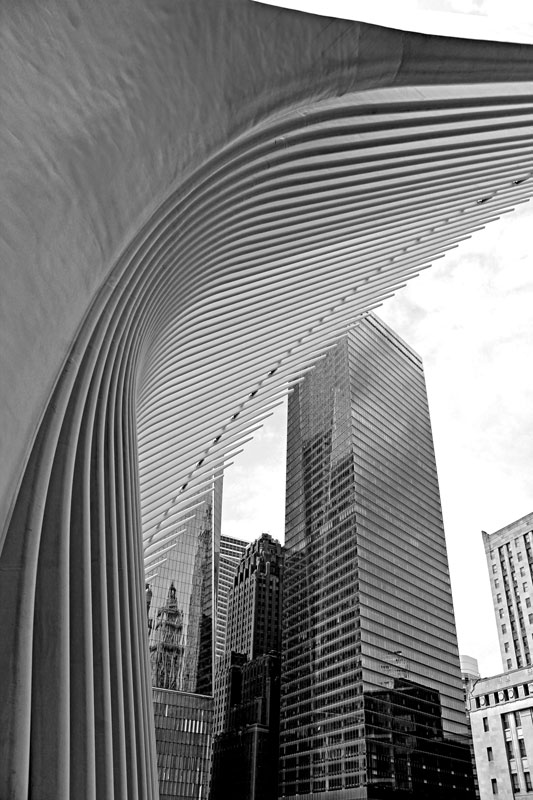 One of Lexi Helburn's photographs of the World Trade Center in Manhattan.