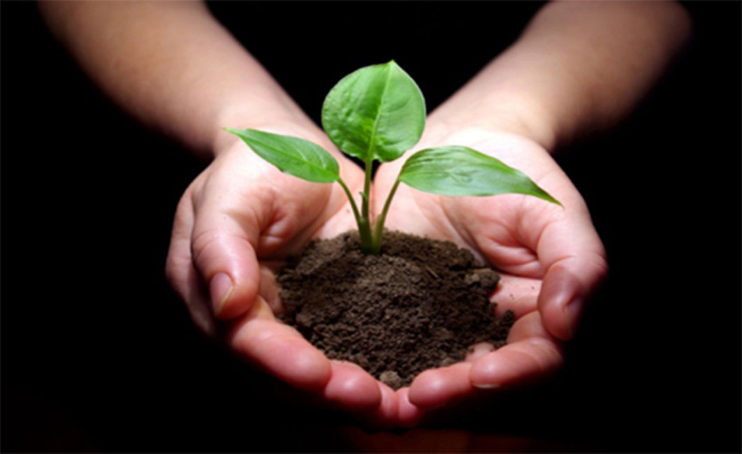 Washington Primary School obtained two grants to support its learning through agriculture program